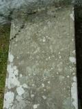 image of grave number 146307